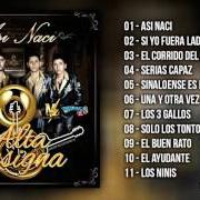El texto musical SOLO LOS TONTOS de ALTA CONSIGNA también está presente en el álbum Así naci (2016)