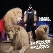 El texto musical VRAI de KALASH CRIMINEL también está presente en el álbum La fosse aux lions (réédition) (2019)