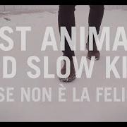 El texto musical ANNABELLE de FAST ANIMALS AND SLOW KIDS también está presente en el álbum Forse non e' la felicità (2017)