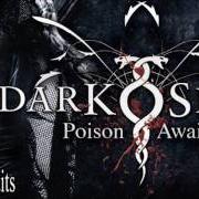 El texto musical ALL IS VANITY de DARKSEED también está presente en el álbum Poison awaits (2010)