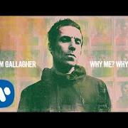 El texto musical MEADOW de LIAM GALLAGHER también está presente en el álbum Why me? why not (2019)