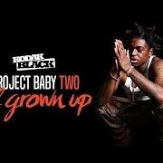 El texto musical VERSATILE de KODAK BLACK también está presente en el álbum Project baby 2: all grown up (deluxe) (2017)