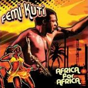 El texto musical NO BLAME THEM de FEMI KUTI también está presente en el álbum Africa for africa (2010)