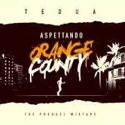 El texto musical BUSTE DELLA SPESA de TEDUA también está presente en el álbum Orange county mixtape (2016)