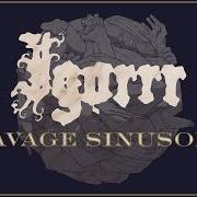 El texto musical ROBERT de IGORRR también está presente en el álbum Savage sinusoid (2017)
