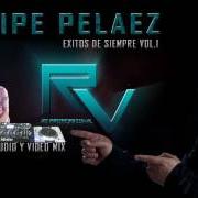 El texto musical VOY A BEBER de FELIPE PELÁEZ también está presente en el álbum Felipe peláez - 30 grandes éxitos (2014)