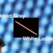 El texto musical THIS YEARS LOVE de DAVID GRAY también está presente en el álbum White ladder (1998)