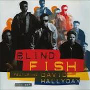 El texto musical ENDLESS SUMMER de DAVID HALLYDAY también está presente en el álbum 2000 bbf (1994)