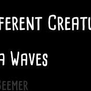 El texto musical A NIGHT ON THE BROKEN TILES de CIRCA WAVES también está presente en el álbum Different creatures (2017)