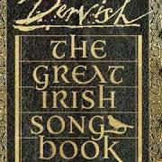 El texto musical THE GALWAY SHAWL (FEAT. STEVE EARLE) de DERVISH también está presente en el álbum The great irish songbook (2019)
