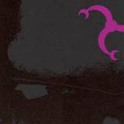 El texto musical STUPID de THE DIRTBOMBS también está presente en el álbum Dangerous magical noise (2003)