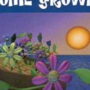 El texto musical ONE NIGHT STAND de HOME GROWN también está presente en el álbum That's business (1995)