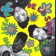 El texto musical D.A.I.S.Y. AGE de DE LA SOUL también está presente en el álbum 3 feet high and rising (1989)