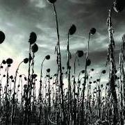 El texto musical CHILDREN OF THE SUN de DEAD CAN DANCE también está presente en el álbum Anastasis (2012)