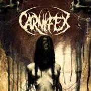 El texto musical A GRAVE TO BLAME de CARNIFEX también está presente en el álbum Until i feel nothing (2011)