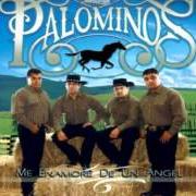 El texto musical CREEME de LOS PALOMINOS también está presente en el álbum Me enamore de un angel (2008)