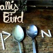 El texto musical THE CIRCLE de WALLIS BIRD también está presente en el álbum Spoons (2007)
