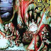 El texto musical END OF ALL de DEEDS OF FLESH también está presente en el álbum Inbreeding the anthropophagi (1997)