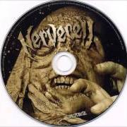 El texto musical VASTLANDS OF ABOMINATION de NERVECELL también está presente en el álbum Human chaos (2004)