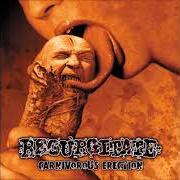 El texto musical 37 STABWOUNDS de REGURGITATE también está presente en el álbum Carnivorous erection (2000)