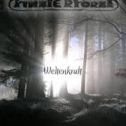 El texto musical WEINENDE RUINEN de FINSTERFORST también está presente en el álbum Weltenkraft (2007)