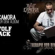 El texto musical WENN DER TAG BEGINNT de RAF CAMORA también está presente en el álbum Therapie vor dem album (2008)