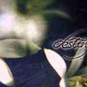 El texto musical SCENIC ROAD de DESTINY también está presente en el álbum Diving into eternity (2002)