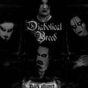 El texto musical WOODS OF THORN de DIABOLICAL BREED también está presente en el álbum Dark alliance (2000)