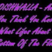 El texto musical STAY AWAKE de DISHWALLA también está presente en el álbum And you think you know what life's about (1998)