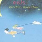 El texto musical BABY GENIUS de EELS también está presente en el álbum Electro-shock blues (1998)