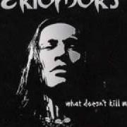 El texto musical NEW LIFE de EKTOMORF también está presente en el álbum What doesn't kill me... (2009)