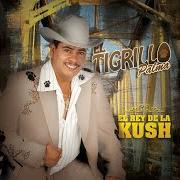 El texto musical MI MANO DERECHA de EL TIGRILLO PALMA también está presente en el álbum El rey de la kush (2009)