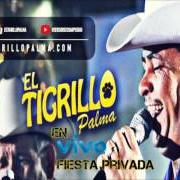 El texto musical EL AMOR DE UN POBRE de EL TIGRILLO PALMA también está presente en el álbum Fiesta privada con banda (2008)