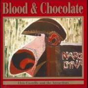 El texto musical BLUE CHAIR de ELVIS COSTELLO también está presente en el álbum Blood and chocolate (1986)