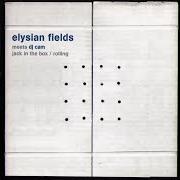 El texto musical ANYTHING YOU LIKE de ELYSIAN FIELDS también está presente en el álbum Bleed your cedar (1996)