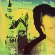 El texto musical TUTTO SUBITO de ENRICO RUGGERI también está presente en el álbum Peter pan (1991)