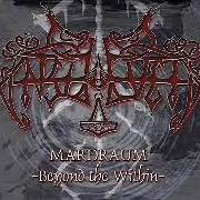 El texto musical STØRRE ENN TID, TYNGRE ENN NATT de ENSLAVED también está presente en el álbum Mardraum - beyond the within (2000)