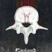 El texto musical GROUND de ENSLAVED también está presente en el álbum Vertebrae (2008)