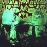 El texto musical LIVING BENEATH THE HAMMER de ENSLAVED también está presente en el álbum Vikingligr veldi (1993)