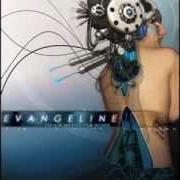 El texto musical TERRIBLE MACHINE de EVANGELINE también está presente en el álbum Coming back to your senses (2006)