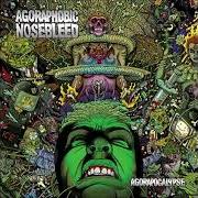 El texto musical MORAL DISTORTION de AGORAPHOBIC NOSEBLEED también está presente en el álbum Agorapocalypse (2009)
