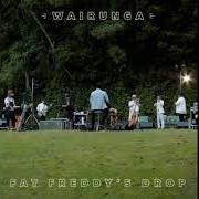 El texto musical BONES de FAT FREDDY'S DROP también está presente en el álbum Wairunga (2021)