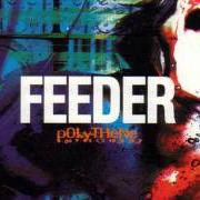 El texto musical MY PERFECT DAY de FEEDER también está presente en el álbum Polythene (1997)