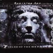 El texto musical CHORD OF SOULS de FIELDS OF THE NEPHILIM también está presente en el álbum The nephilim (1988)