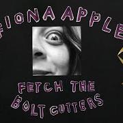 El texto musical SHAMEIKA de FIONA APPLE también está presente en el álbum Fetch the bolt cutters (2020)