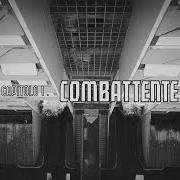 El texto musical ANIMA DI NEVE de FIORELLA MANNOIA también está presente en el álbum Combattente (2016)