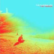 El texto musical LOOK…THE SUN IS RISING de THE FLAMING LIPS también está presente en el álbum The terror (2013)