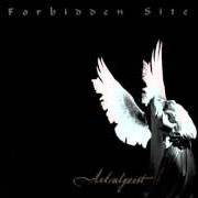 El texto musical "A STONE LIKE STILL FLUSHES MY HEART" (ASTRALGEIST) de FORBIDDEN SITE también está presente en el álbum Astralgeist (1999)
