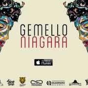 El texto musical TESTA URAGANO de GEMELLO también está presente en el álbum Niagara (2014)