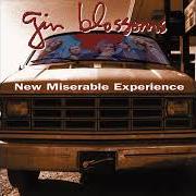El texto musical MY CAR de GIN BLOSSOMS también está presente en el álbum Congratulations i'm sorry (1996)